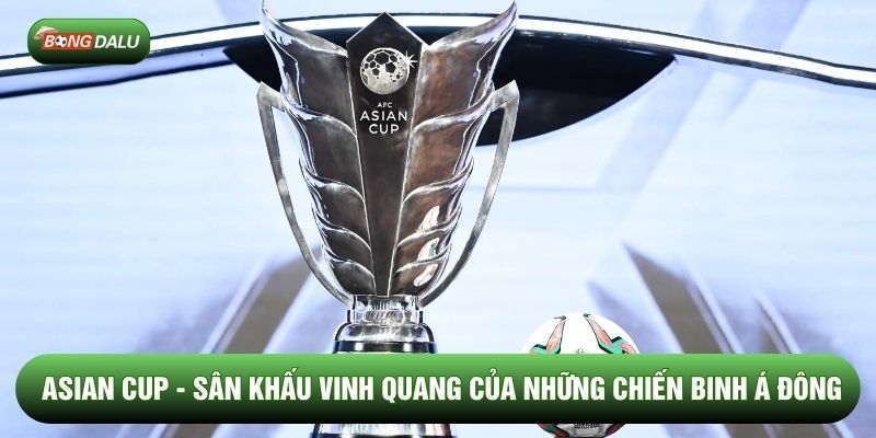 Asian Cup - Sân Khấu Vinh Quang Của Những Chiến Binh Á Đông