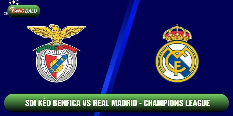 Soi Kèo Nhà Cái Benfica vs Real Madrid 18/02 - Cúp C1