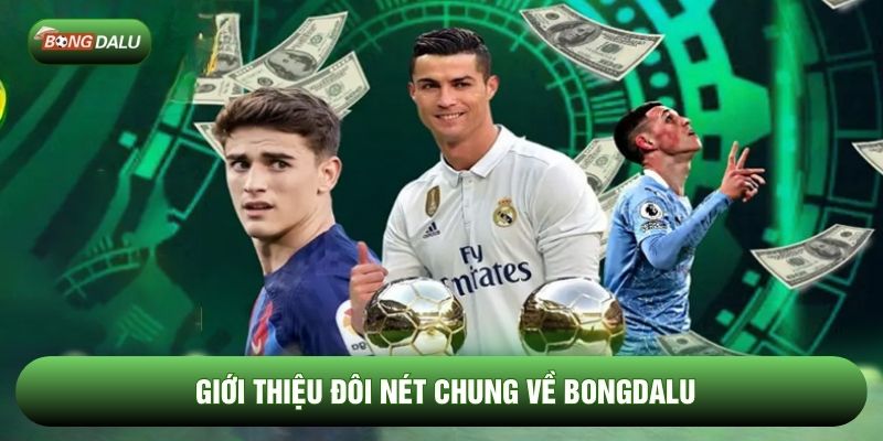 Giới thiệu đôi nét chung về Bongdalu Giới thiệu đôi nét chung về Bongdalu