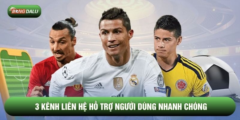 3 kênh liên hệ hỗ trợ người dùng nhanh chóng 3 kênh liên hệ hỗ trợ người dùng nhanh chóng