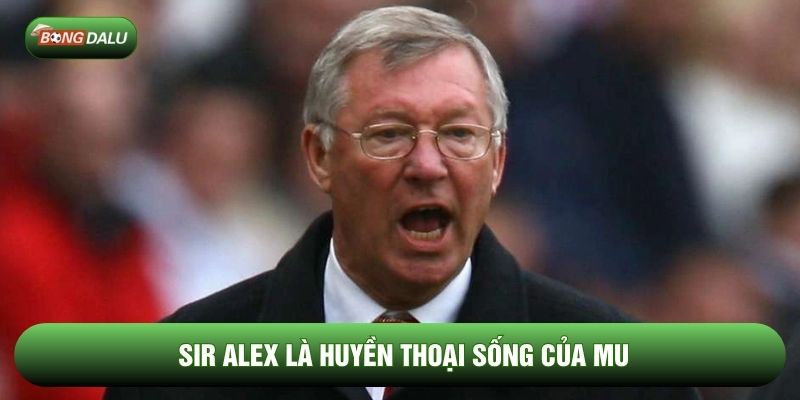Sir Alex là huyền thoại sống của MU Sir Alex là huyền thoại sống của MU