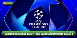 Champions League Là Gì? Toàn Cảnh Giải Đấu Danh Giá Số 1