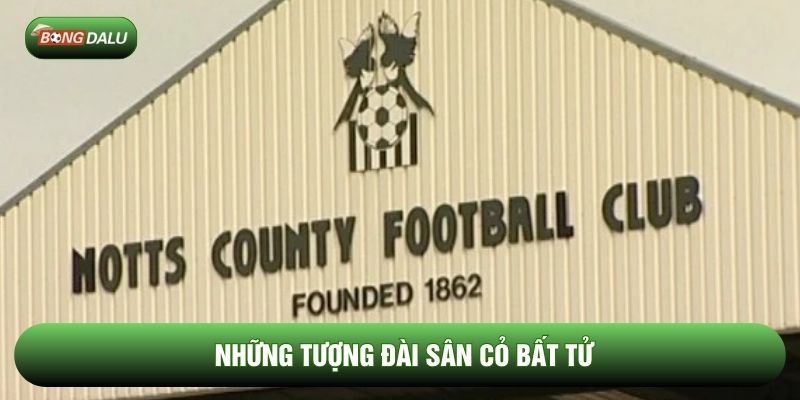 Những tượng đài sân cỏ bất tử Những tượng đài sân cỏ bất tử