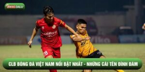 CLB Bóng Đá Việt Nam Nổi Bật Nhất - Những Cái Tên Đình Đám