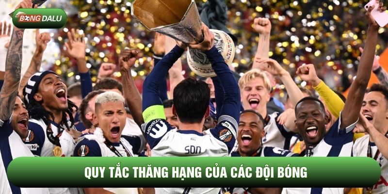 Điểm nổi bật khiến cup C2 được yêu thích Điểm nổi bật khiến cup C2 được yêu thích