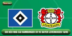 Soi Kèo Hamburger SV Vs Bayer Leverkusen 16/05 - Bundesliga