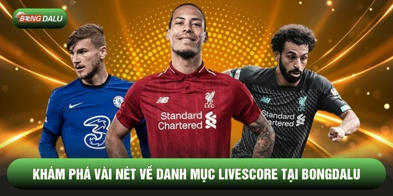 Khám phá vài nét về danh mục livescore tại Bongdalu Khám phá vài nét về danh mục livescore tại Bongdalu