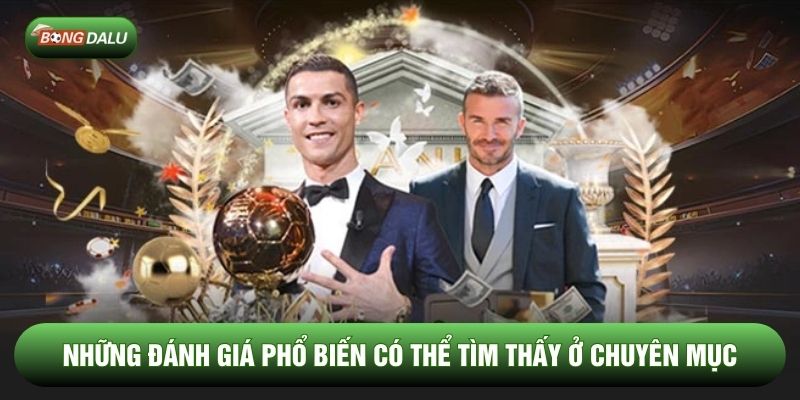 Những đánh giá phổ biến có thể tìm thấy ở chuyên mục Những đánh giá phổ biến có thể tìm thấy ở chuyên mục