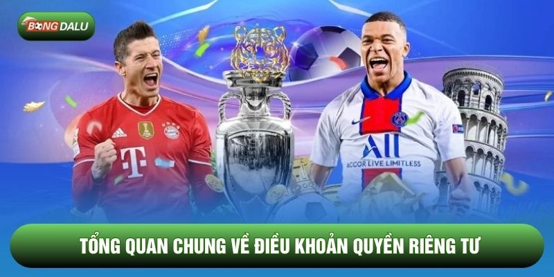 Tổng quan chung về điều khoản quyền riêng tư Tổng quan chung về điều khoản quyền riêng tư