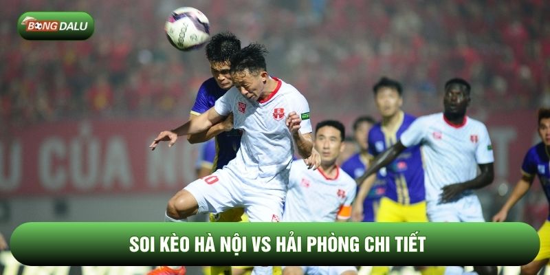 Soi kèo Hà Nội vs Hải Phòng chi tiết Soi kèo Hà Nội vs Hải Phòng chi tiết