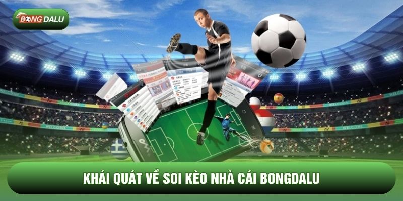 Khái quát về soi kèo nhà cái Bongdalu Khái quát về soi kèo nhà cái Bongdalu