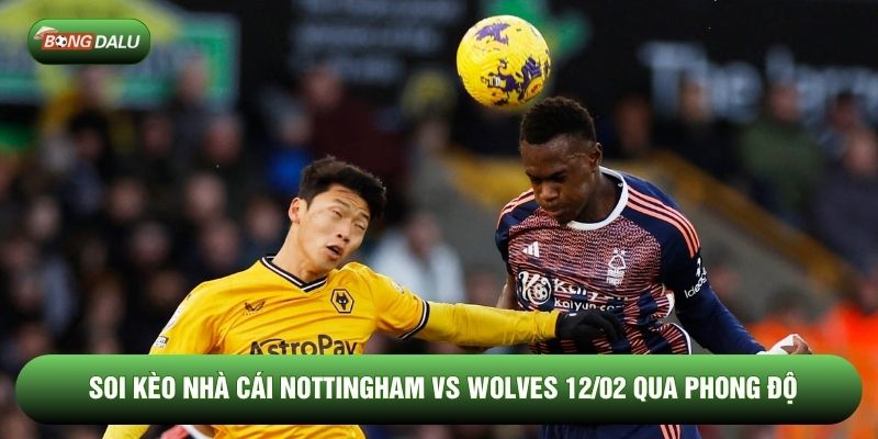 Soi kèo nhà cái Nottingham vs Wolves 12/02 qua phong độ Soi kèo nhà cái Nottingham vs Wolves 12/02 qua phong độ