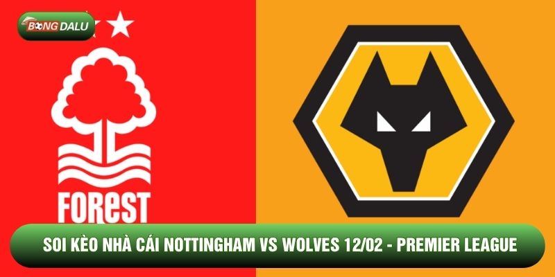 Soi kèo nhà cái Nottingham vs Wolves 12/02 - Premier League