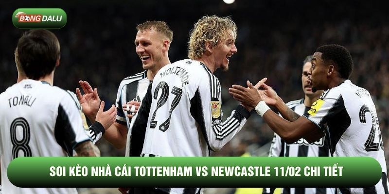 Soi kèo nhà cái Tottenham vs Newcastle 11/02 chi tiết