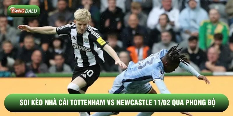 Soi kèo nhà cái Tottenham vs Newcastle 11/02 qua phong độ