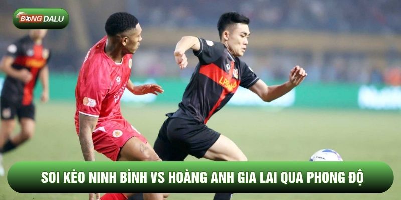 Soi kèo Ninh Bình vs Hoàng Anh Gia Lai qua phong độ Soi kèo Ninh Bình vs Hoàng Anh Gia Lai qua phong độ