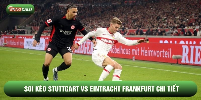Soi kèo Stuttgart vs Eintracht Frankfurt chi tiết Soi kèo Stuttgart vs Eintracht Frankfurt chi tiết