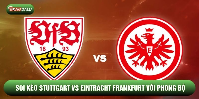 Soi kèo Stuttgart vs Eintracht Frankfurt với phong độ Soi kèo Stuttgart vs Eintracht Frankfurt với phong độ