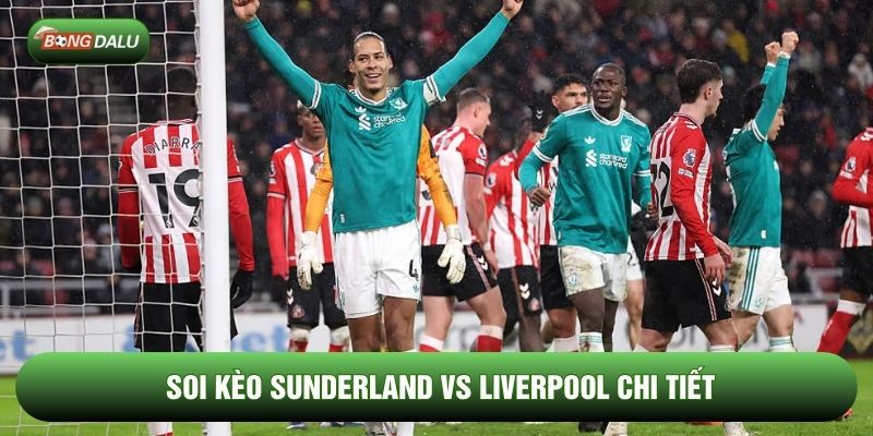 Soi kèo Sunderland vs Liverpool chi tiết Soi kèo Sunderland vs Liverpool chi tiết