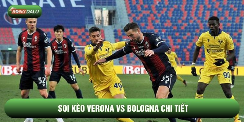 Soi kèo Verona vs Bologna chi tiết Soi kèo Verona vs Bologna chi tiết