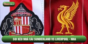 Soi Kèo Sunderland vs Liverpool 12/02 - Premier League