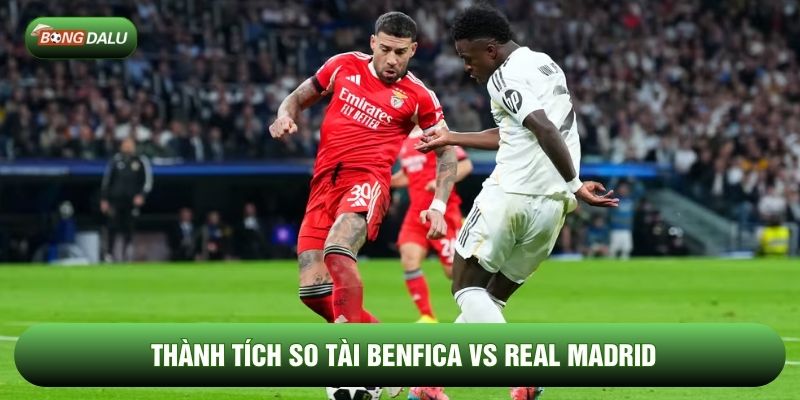 Thành tích so tài Benfica vs Real Madrid Thành tích so tài Benfica vs Real Madrid