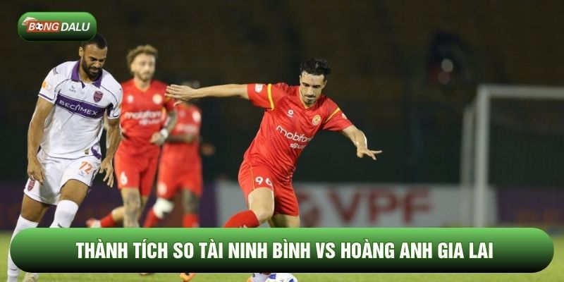 Thành tích so tài Ninh Bình vs Hoàng Anh Gia Lai Thành tích so tài Ninh Bình vs Hoàng Anh Gia Lai