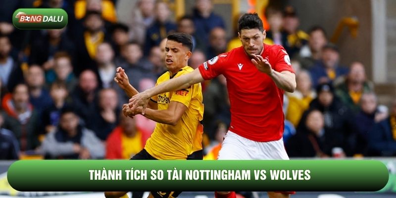 Thành tích so tài Nottingham vs Wolves Thành tích so tài Nottingham vs Wolves
