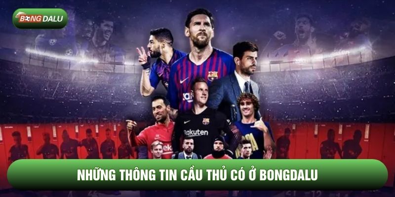 Những thông tin cầu thủ có ở Bongdalu