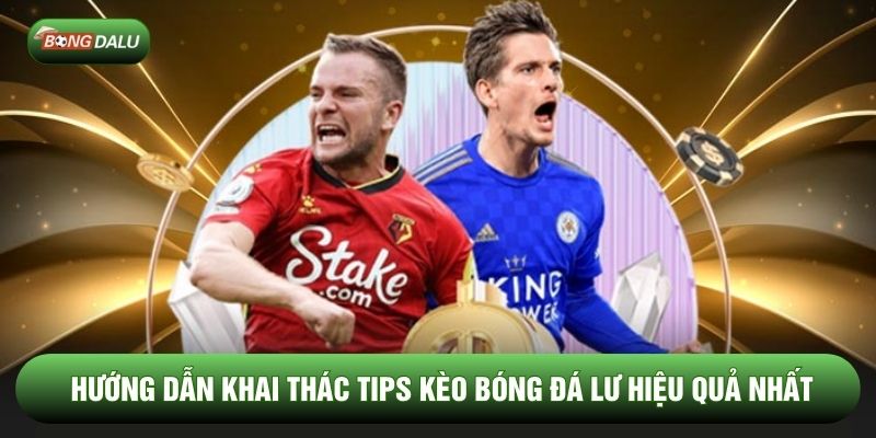 Hướng dẫn khai thác tips kèo bóng đá lu hiệu quả nhất Hướng dẫn khai thác tips kèo bóng đá lu hiệu quả nhất