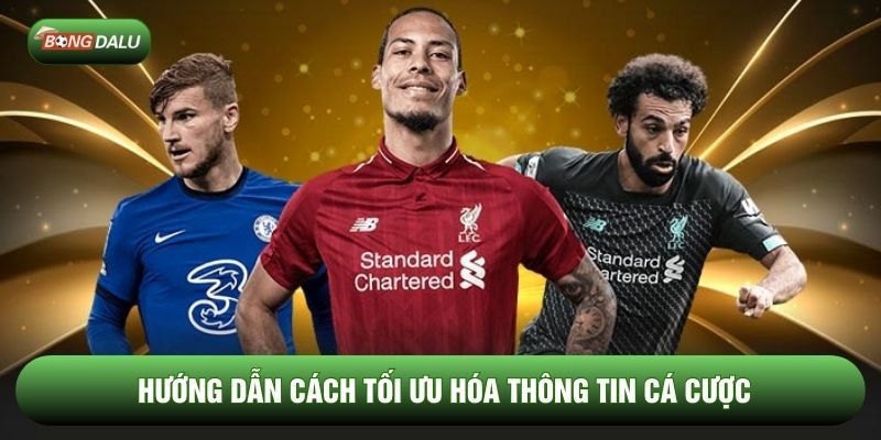 Hướng dẫn cách tối ưu hóa thông tin cá cược Hướng dẫn cách tối ưu hóa thông tin cá cược