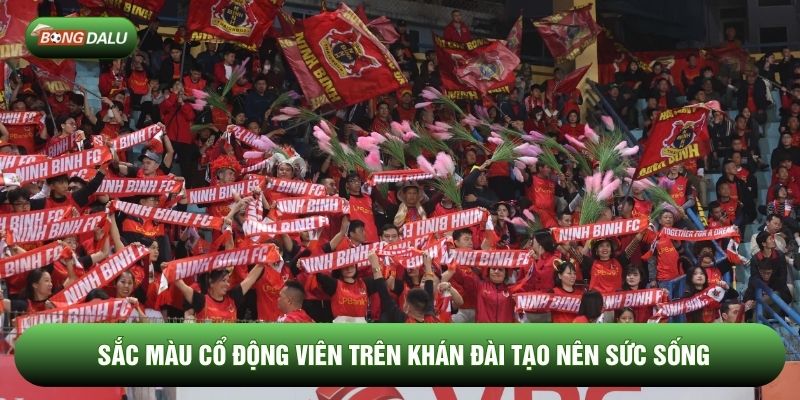 Sắc màu cổ động viên trên khán đài tạo nên sức sống Sắc màu cổ động viên trên khán đài tạo nên sức sống