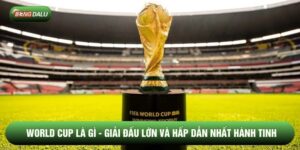 World Cup Là Gì - Giải Đấu Lớn Và Hấp Dẫn Nhất Hành Tinh