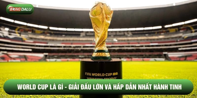 World Cup Là Gì - Giải Đấu Lớn Và Hấp Dẫn Nhất Hành Tinh
